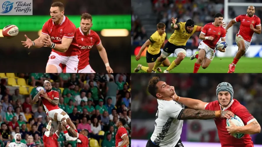 Rugby World Cup Tickets | Rugby World Cup 2027 Tickets | Rugby World Cup Final Tickets